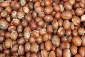 Amandes de Karité