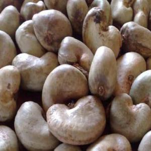 Noix de Cajou (Kilo)
