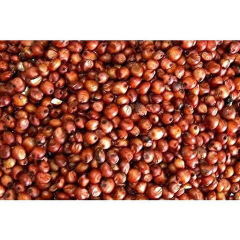 Sorgho Rouge (Sac)
